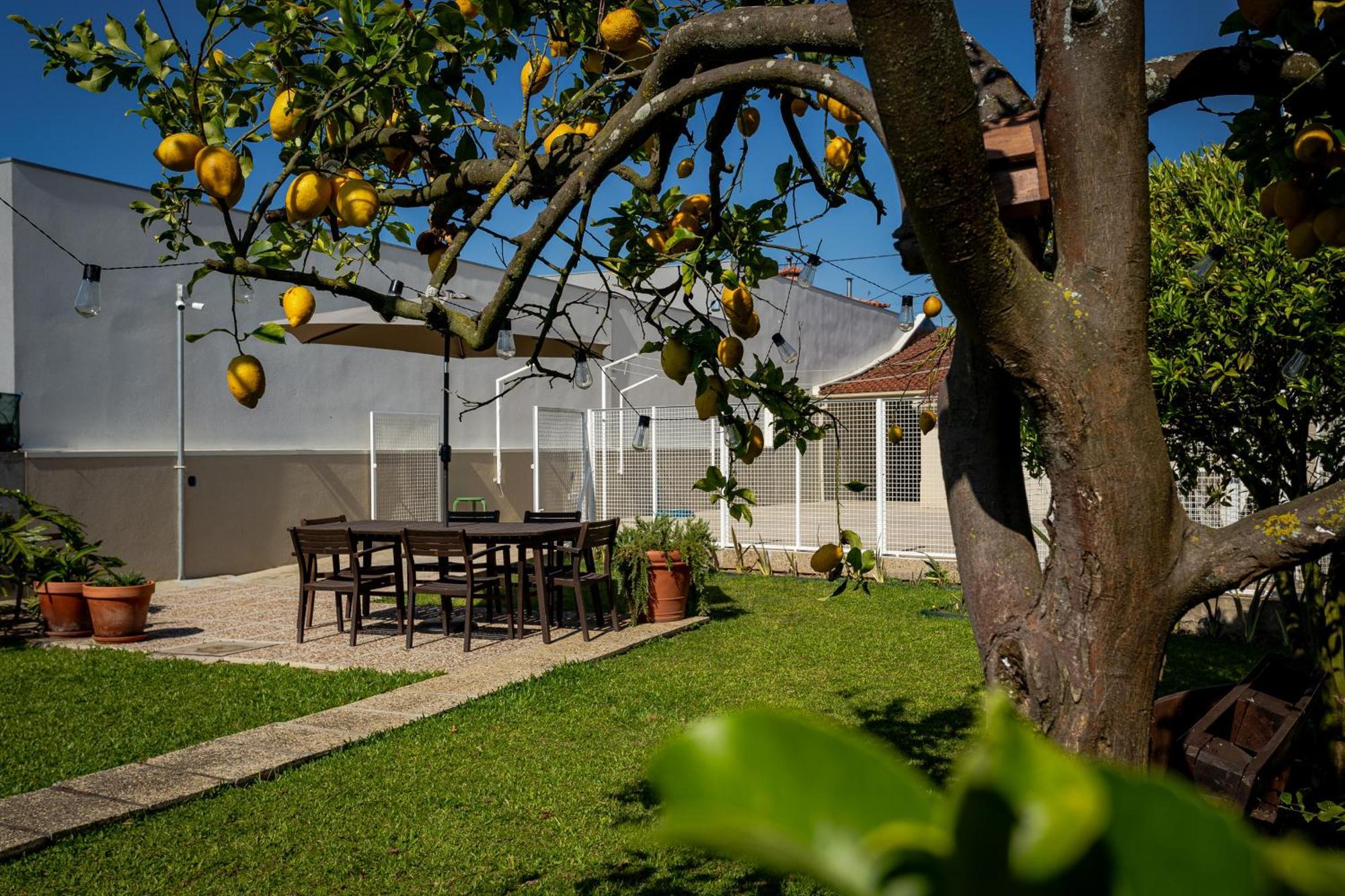 714 Mugnano House Aveleda Villa Vila do Conde Eksteriør billede